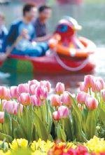 Погода Гуанчжоу в Марте