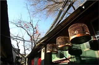 Хутуны