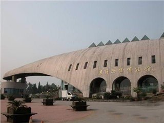 Музей динозавров в Цзыгуне 