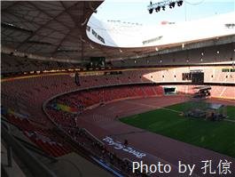 Птичье гнездо