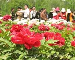 Национальный сад пионов